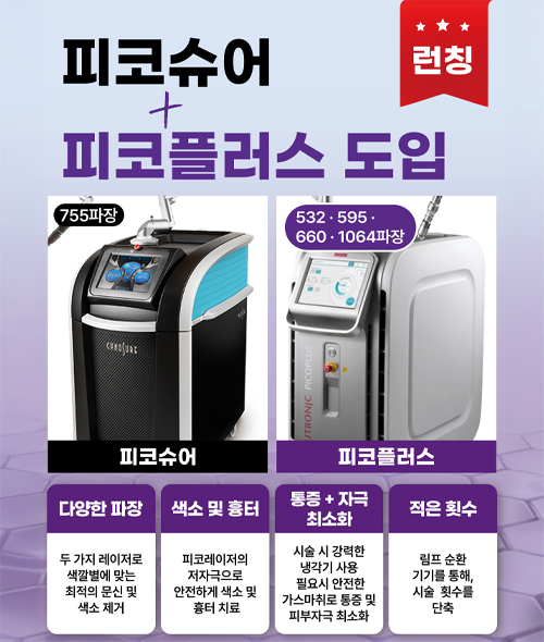 피코슈어/피코플러스 도입